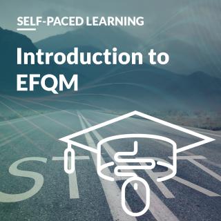 Introduction to EFQM